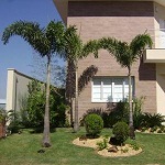 Ecojardim_franquia_-_Paisagismo_em_Foco