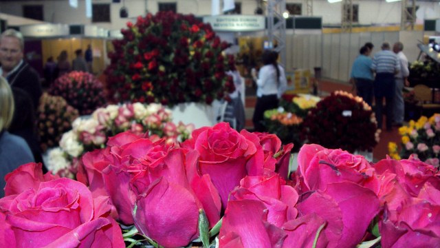 Enflor_Garden_Fair_Rosas_640x360