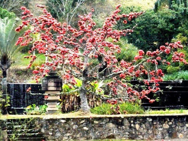 Fazenda_Burle_Marx_Bel_Gomes_33