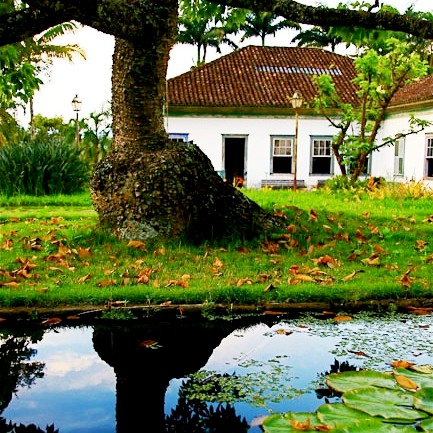 Fazenda_Burle_Marx_Clovis_Home_Franca_10