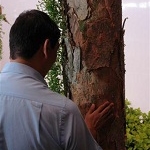 0.0_jardim_sensorial_capa