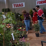 01_-_Ceasa_Campinas_11_500x335