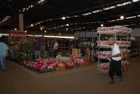 01_-_Mercado_de_Flores_2_590x395