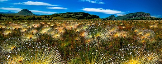 Chapada_dos_veadeiros_Sumitra