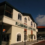 Shopping_Flamingo_1