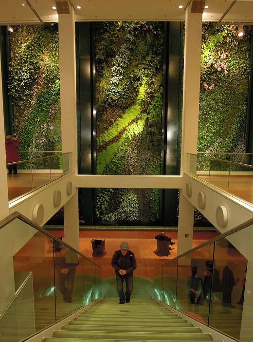Patrick_blanc_jardim-vertical-Berlin