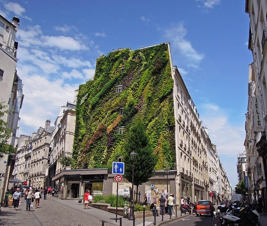 Patrick_blanc_jardim-vertical-Paris_1