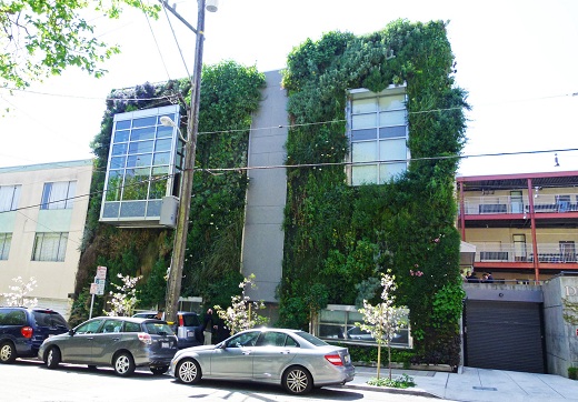 Patrick_blanc_jardim-vertical-san_francisco