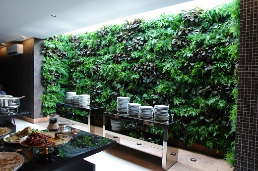 green_wall_claudia_elias_badebec