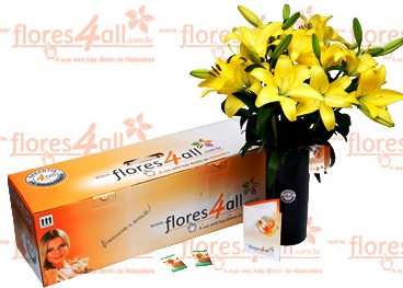 Flores_All_4