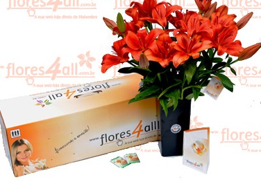 Flores_All_5