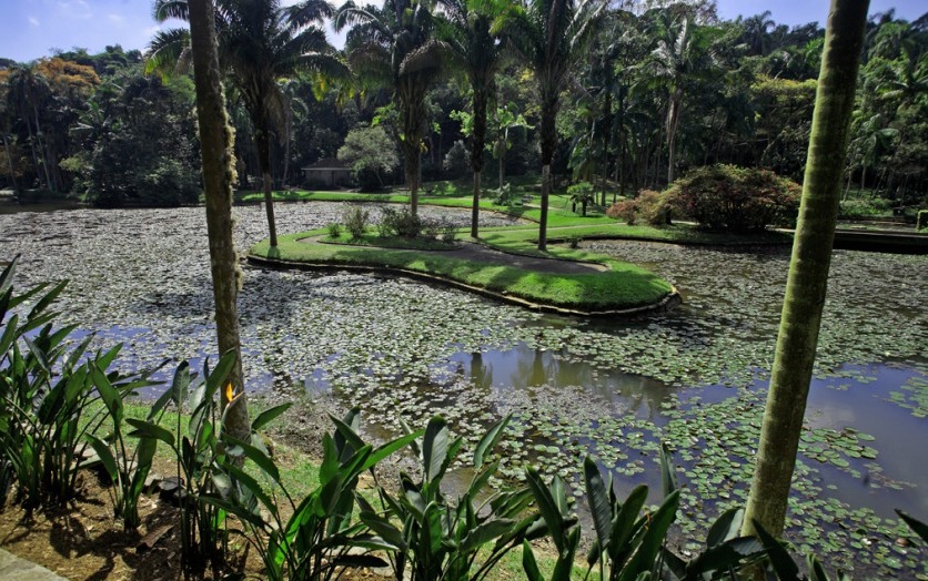 Jardim_Botanico_de_SP_livros_e_publicacoes_3