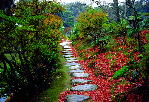 Jardim_Japones_a_magia_dos_jardins_de_kyoto_-_Sarkis_Sergio_Kaloustian4