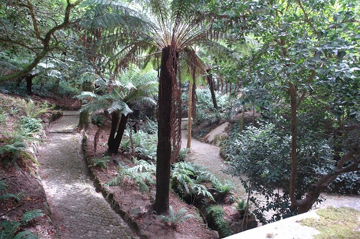 Palacio_de_Pena_-_Sintra_-_Portugal32