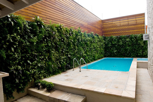 green_wall_piscina