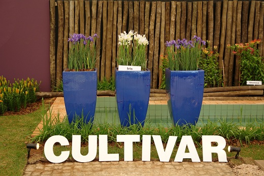 3-_Espao_Cultivar_2