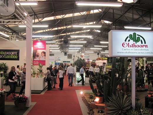 Enflor_Garden_Fair_Economia