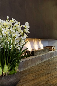 MOSTRA_BLACK_2012_ECOFIREPLACES4