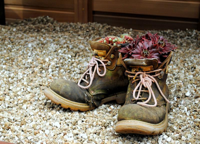 sapatos_com_plantas