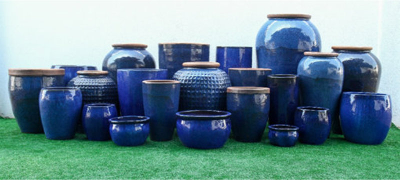 Organne Vasos Vietnamitas 4