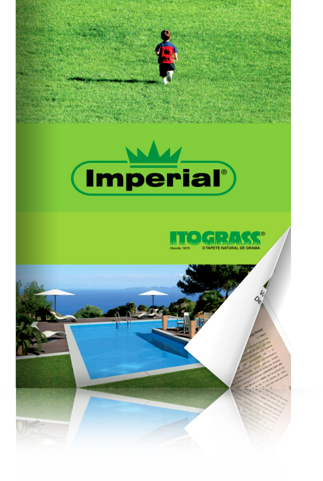 revista imperial